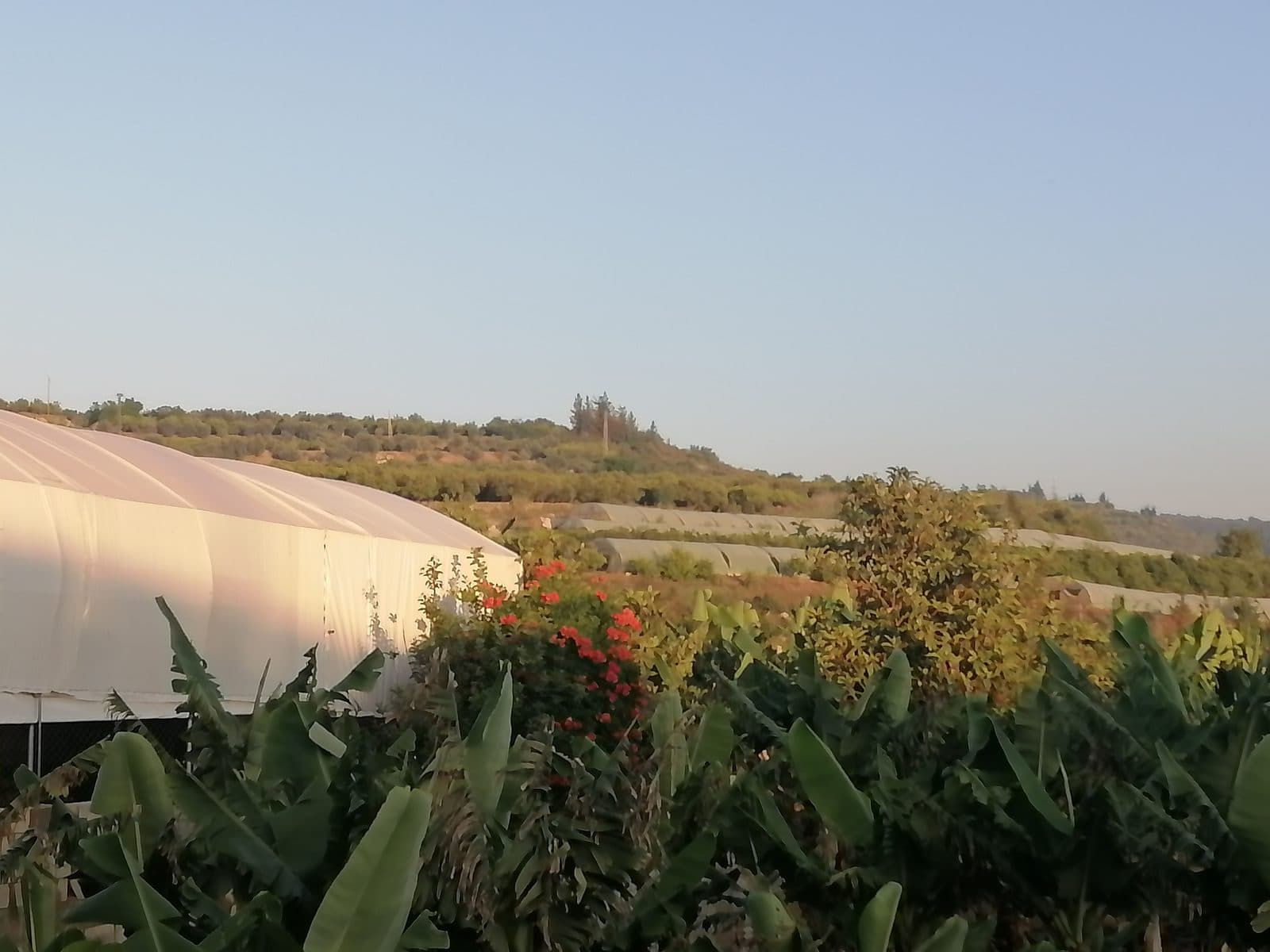 بعد يومين على زفافها: استشهاد العروس سجى شرارة في غارةٍ على عربصاليم